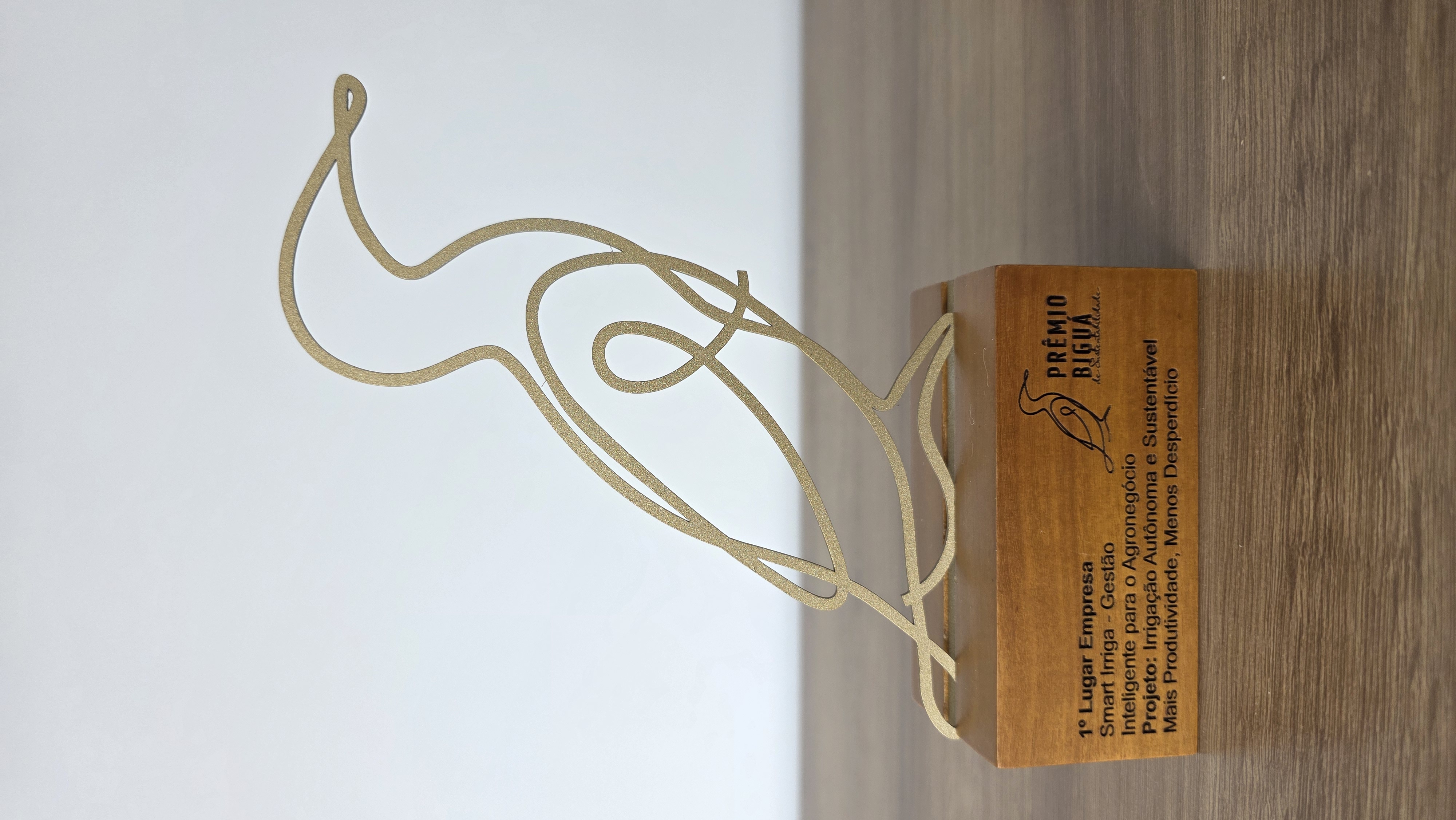Troféu da premiação Bigua